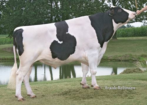 Holstein Association USA, Inc.