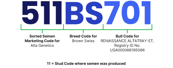 code-example-511BS701.png