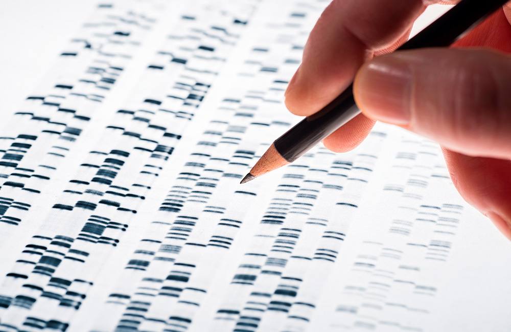 banner-genetic-evaluation-calendar.jpg