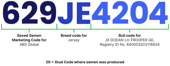 code-example-629JE4204