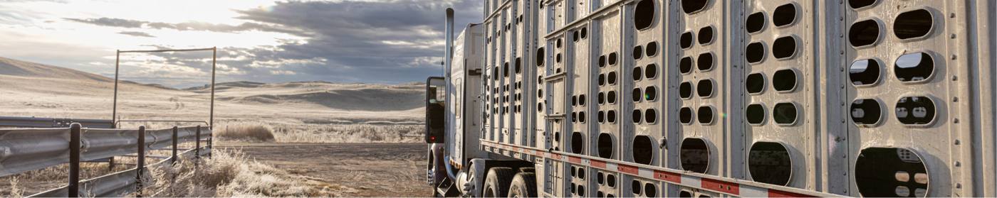 Css Management Transportation