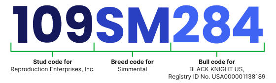 code-example-109SM284.png